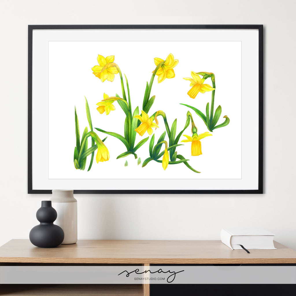 Tête-à-Tête Daffodils Symbol of spring