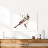 Female Cardinal watercolour painting stretched canvas giclee by Senay Studio