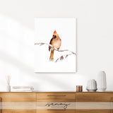 Female Cardinal Bird in fawn light brown colour painting stretched canvas made in Ontario Canada by Senay Studio