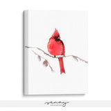 Beautiful red Cardinal bird by Senay studio