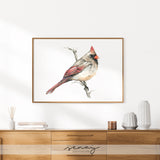 F. Cardinal Bird