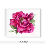 Peony