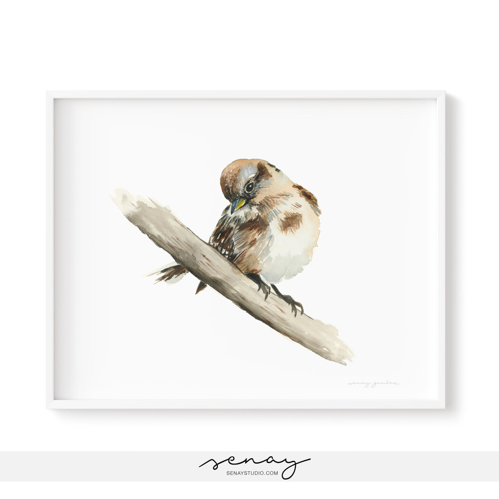 Cute sparrow bird watercolour painting by Senay Studio, senaystudio.com