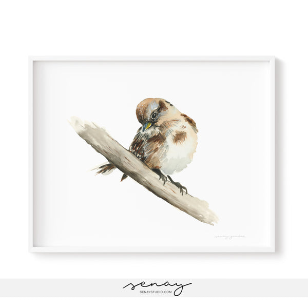 Cute sparrow bird watercolour painting by Senay Studio, senaystudio.com