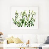 Snowdrops watercolour painting by Senay Studio, senaystudio.com