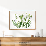 Pretty snowdrops watercolour painting by Senay Studio, senaystudio.com