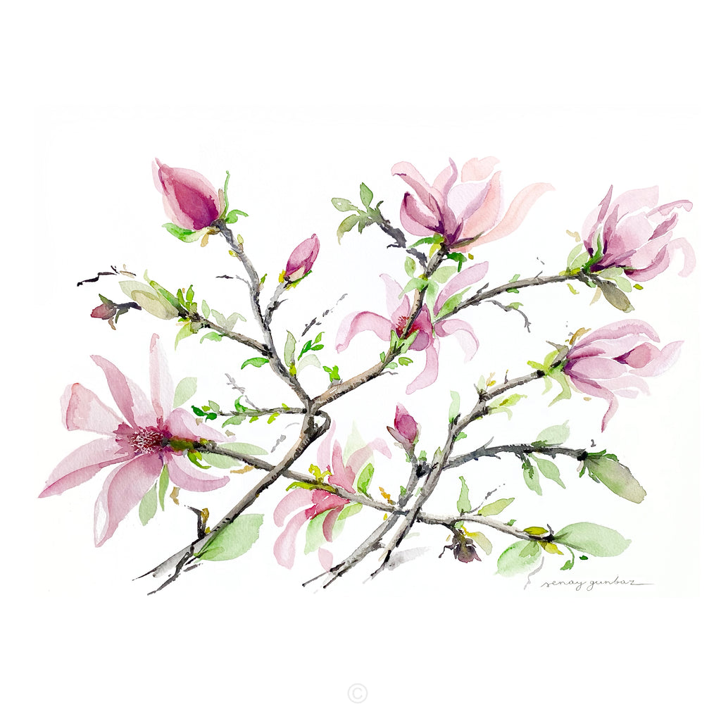 Magnolia original painting