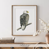 Watercolour Eagle Painting Giclée Art Print by SenayStudio.com