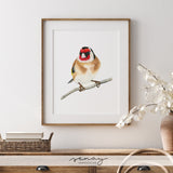 European Goldfinch Bird Watercolour Painting Art Print (frame not included) by SenayStudio.com