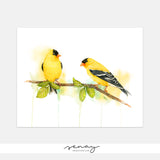 Beautiful Yellow Goldfinch Birds on a Branch Painting Giclée Print by SenayStudio.com