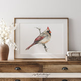 Beautiful Female Cardinal Bird Watercolour Painting by SenayStudio.com