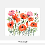 Gorgeous Poppy Garden Loose Watercolour Artwork Giclee  at senaystudio.com