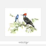 Indigo Bunting and Pileated Woodpecker Giclée Print | senaystudio.com | Free Shipping