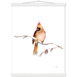 Fawn Cardinal Art Print & Hanger