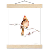 Fawn Cardinal Art Print & Hanger