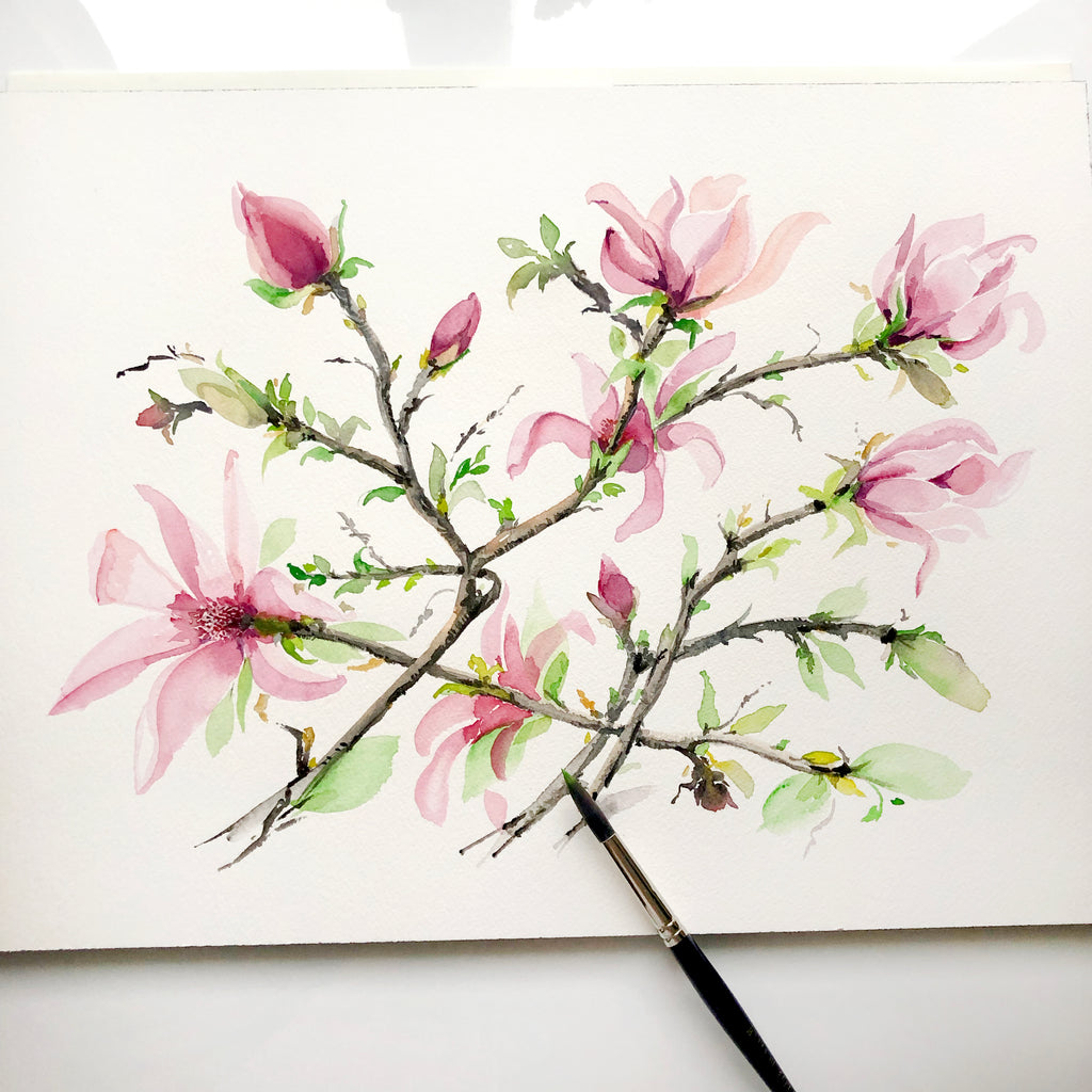 Beautiful Pink Magnolia