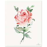 1f2a419d-a694-4c1b-82da-6e8b16545dda