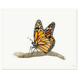 7a5236d3-d7cd-465d-bec0-e9dcca086894