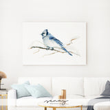Cute blue jay bird painting by Senay, produced in Canada
