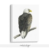 Eagle bird painting, stretched canvas wall art, SenayStudio.com