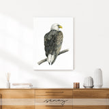Eagle bird painting, large stretched canvas produced in our studio, senaystudio.com