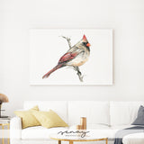 F. Cardinal Bird