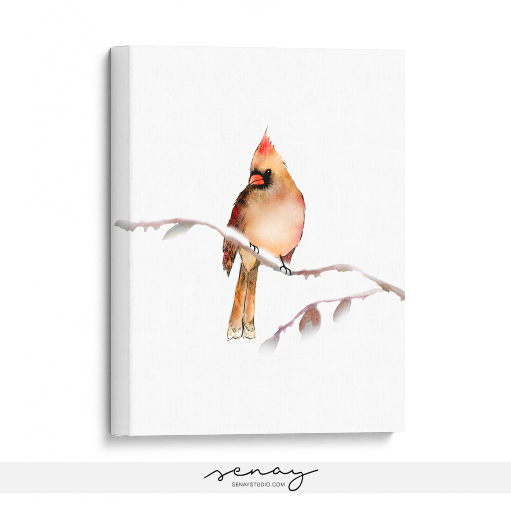 Female Cardinal Bird in fawn light brown colour painting stretched canvas print by Senay Studio 