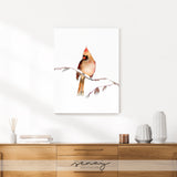 Female Cardinal Bird in fawn light brown colour painting stretched canvas made in Ontario Canada by Senay Studio 
