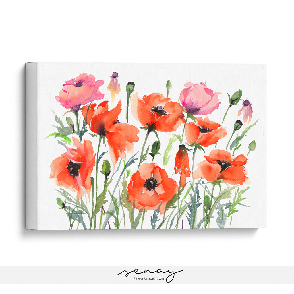 Poppy Garden watercolour painting artwork by Senay Studio 