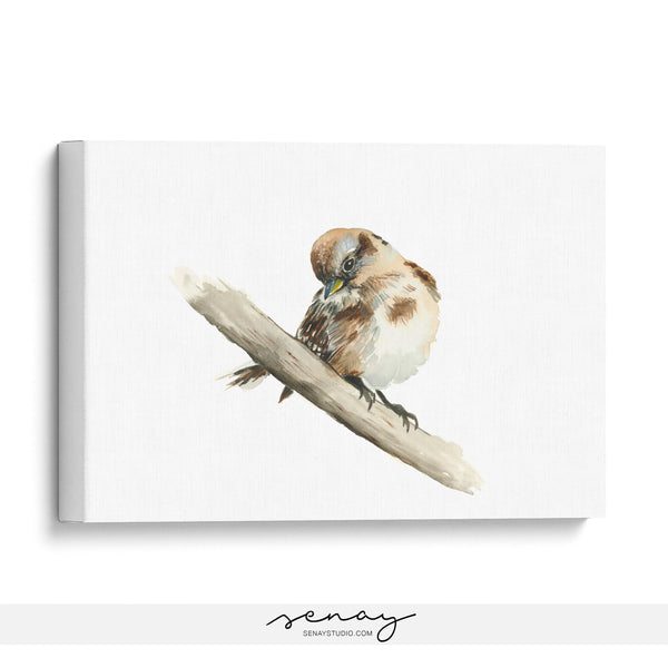 Cute sparrow bird watercolour painting by Senay