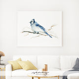 Blue jay watercolour bird art print by SenayStudio.com