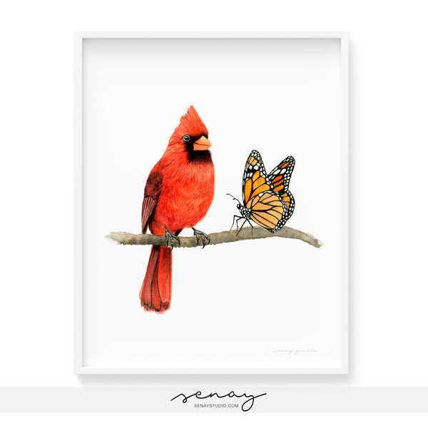 Red Cardinal Bird and Monarch Butterfly watercolour painting by Senay Studio, senaystudio.com