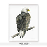 Gorgeous Eagle watercolour bird art print by SenayStudio.com