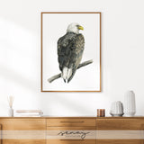 Eagle watercolour bird large giclee print by SenayStudio.com