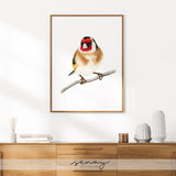 European Goldfinch Bird watercolour paintin by Senay at SenayStudio.com