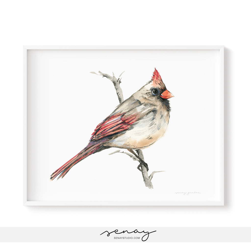 F. Cardinal Bird
