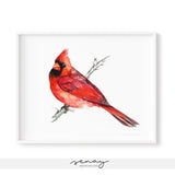 M. Cardinal Bird