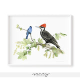 Indigo Bunting and Pileated Woodpecker
