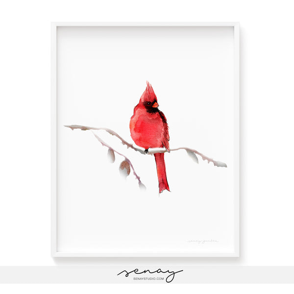 Red Cardinal Bird watercolour painting by Senay Studio, senaystudio.com