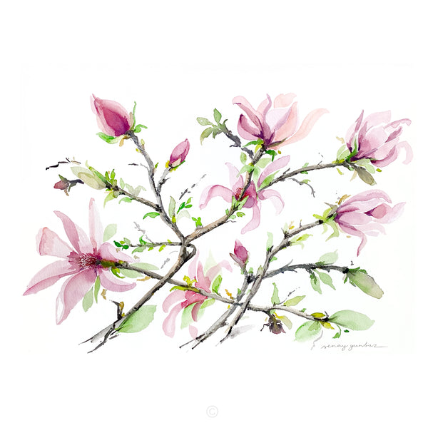 Magnolia original painting