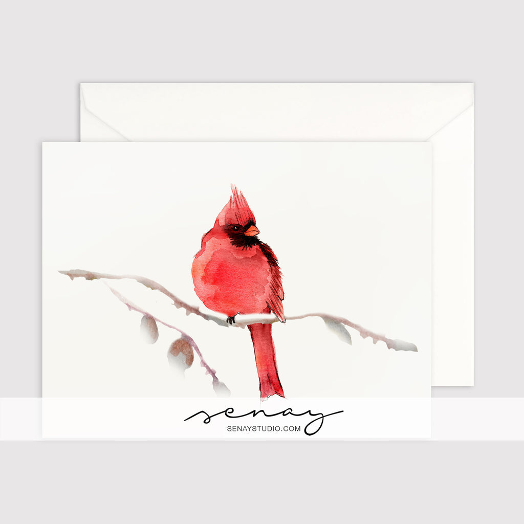 Red Cardinal Bird greeting card