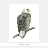 Watercolour Eagle Painting Giclée Art Print by SenayStudio.com