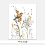 European Goldfinch Bird In A Wild ArtPrint by SenayStudio.com