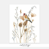 European Goldfinch Bird In A Wild, Giclée Art Print by SenayStudio.com