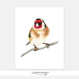 European Goldfinch Bird Watercolour Painting Giclée Art Print by SenayStudio.com