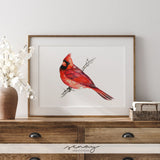 Male Cardinal Bird Watercolour Painting at senaystudio.com