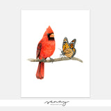 Beautiful Red Cardinal Bird and Monarch Butterfly Watercolour | SenayStudio.com | Free Shipping