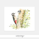 Great Spotted Woodpecker Giclée Print | Free Shipping | senaystudio.com
