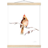 Fawn Cardinal Art Print & Hanger